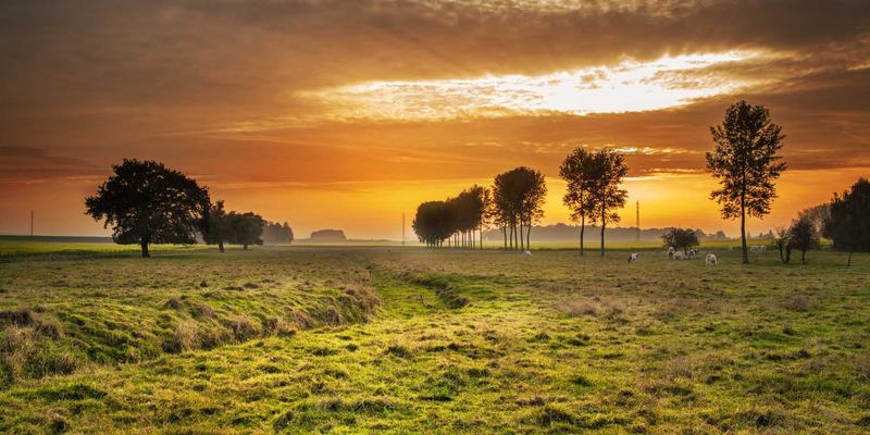 未来主义设计与品牌视觉：迪芒智能安防如何用边缘计算重塑隐私数据安全