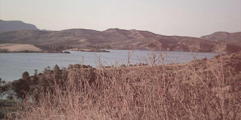 未来已来：迪芒产品安装服务如何以赛博朋克设计美学重塑品牌视觉体验