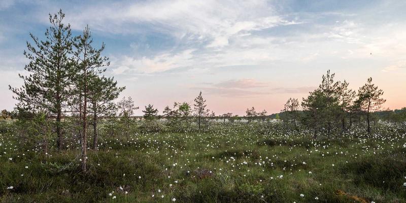 赛博朋克设计赋能品牌战略：迪芒智能安防如何通过多传感器数据融合优化误报率