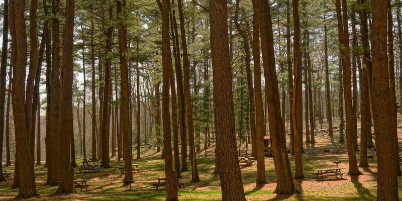 赛博朋克设计赋能：迪芒多模态生物识别融合技术的品牌战略解析