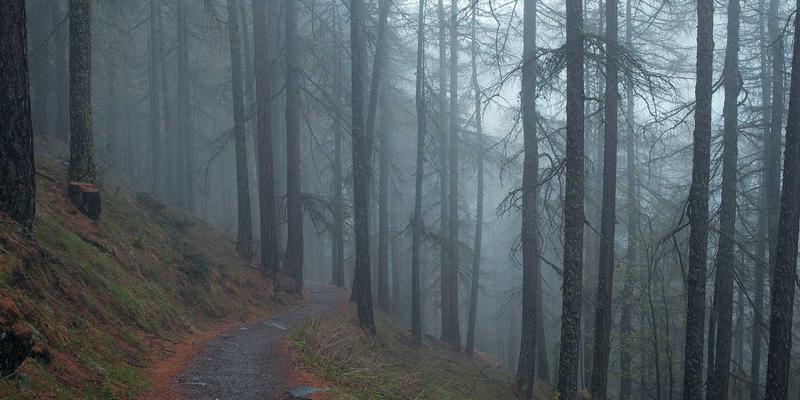 迪芒32：以未来主义设计重塑品牌视觉，引领品牌策划新纪元