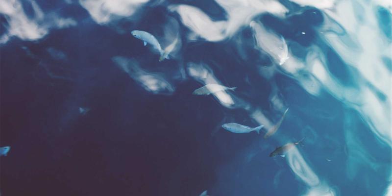 迪芒43：以品牌策划与创意设计，点亮品牌的内在光芒