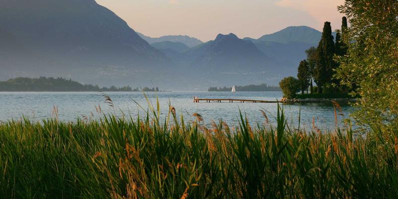 迪芒53：赛博朋克设计如何重塑品牌战略的未来