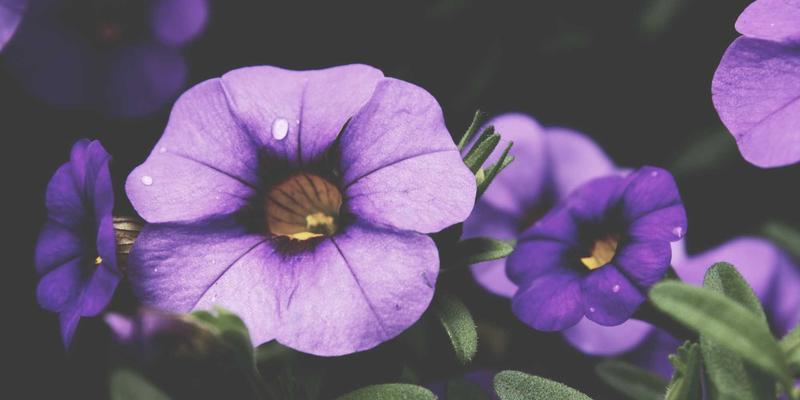 迪芒56：未来主义设计如何重塑品牌视觉与战略新范式