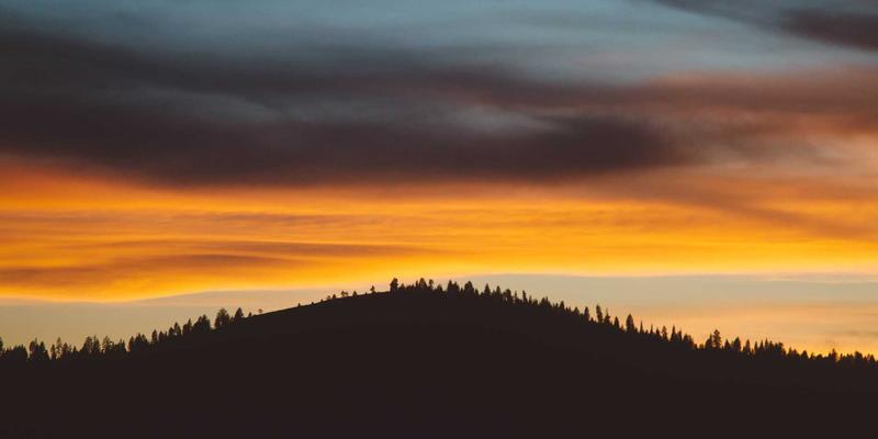 迪芒品牌战略下的隐私守护：智能家居数据安全如何重塑品牌视觉与用户信任