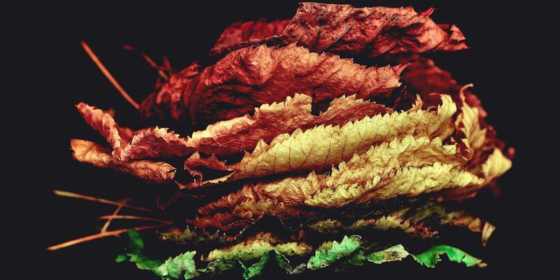 迪芒教程：如何用未来主义设计重塑品牌视觉，打造引领时代的品牌策划