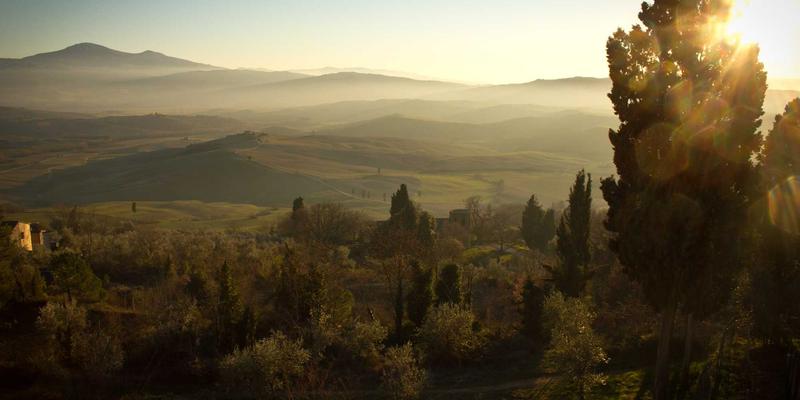 迪芒智慧养老方案：跌倒检测算法与隐私保护的品牌战略与创意设计