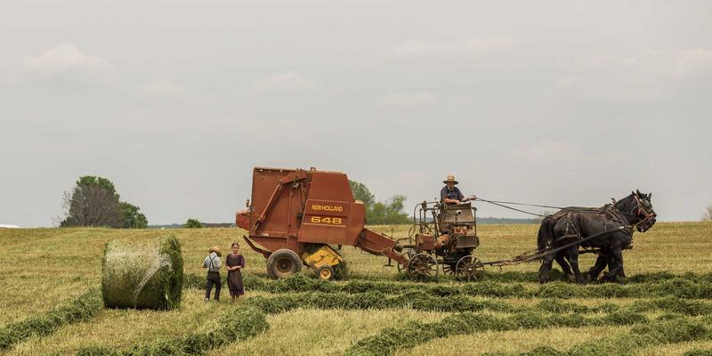迪芒的品牌战略：以未来主义设计与传感器数据融合重塑居家环境监测